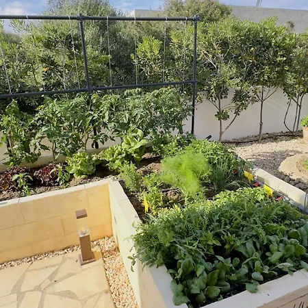 Apartamento Rafael Muy Tranquilo Y Piscina Privada *
